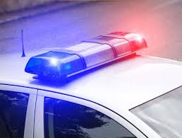 Kelly Crook New York Obituary, Death Pupper Cup Founder and Animal Advocate, Dies at 38