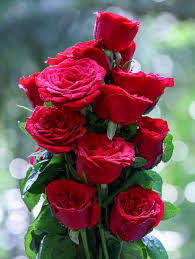 Tammy Alves of Westchester, NY Dies in Tragic Accident, Community Mourns Beloved Wellness Coach