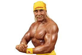 Hulk Hogan, WWE Legend Dies at 71