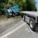 Westerlo Crash Family of Six Trips Turns Tragic in Westerlo Crash with Overturned Truck