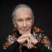 Dr. Jane Goodall World Mourns Pioneering Primatologist Who Transformed Our Understanding of Humanity and Nature