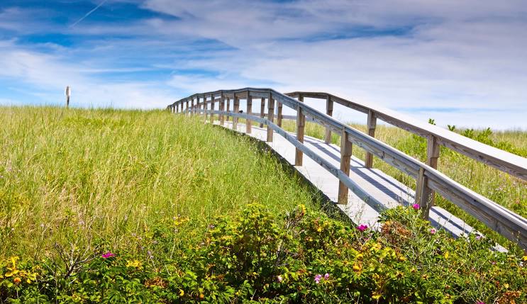 Maya Schauber Sandwich, MA Community Mourns Loss of Beloved Resident