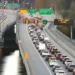 Morning Crash on Westbound SR 520 Causes Major Delays for Seattle Commuters