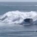 Surfers Rescue Family Of Six After Speeding Boat Capsizes in Heavy Surf at Santa Cruz’s Steamer Lane