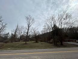 Discovery of Human Remains on Former Forest Township Properties Draws Public Attention