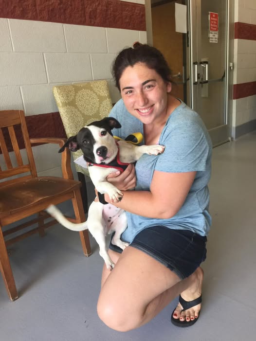 Sarah Chillot Charlotte, NC TJ Chillot, Allana Buick & Bers, Inc. Mourns Project Coordinator and Animal Advocate