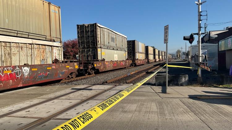 59 Year-Old Man in Wheelchair Killed After Freight Train Collision in Washington