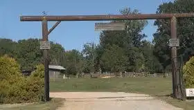 Ruth Quesenberry, 80, Dies After Lazy 5 Ranch Wagon Accident in NC